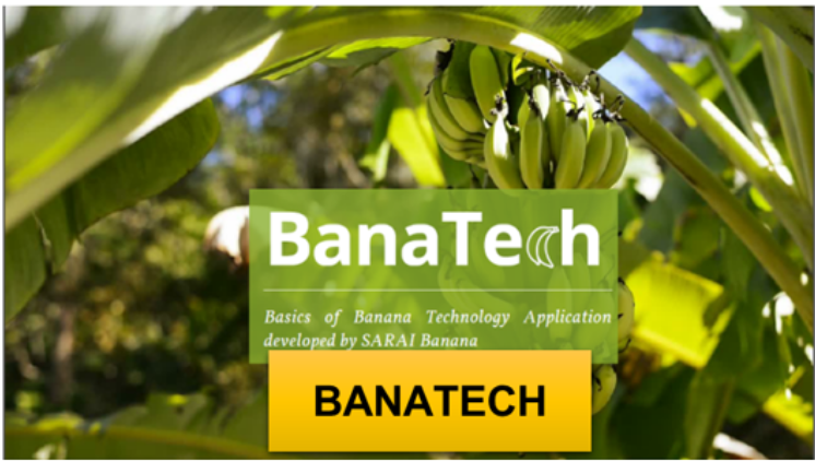 banatech-app